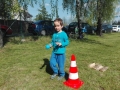 carodejnice2016097