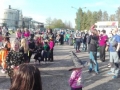 carodejnice2016141