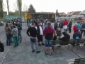 carodejnice2016189