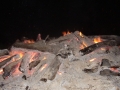 p5010135