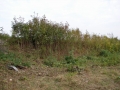 dsc03795
