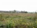 dsc03798
