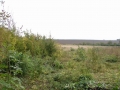 dsc03799