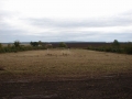 dsc03866