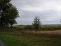 dsc03867