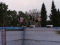 13052006025