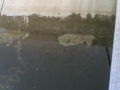 13052006031
