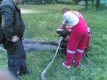13052006068