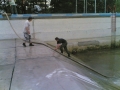 13052006082
