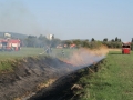 Požár břehů potoka u Horních Bučic 2011